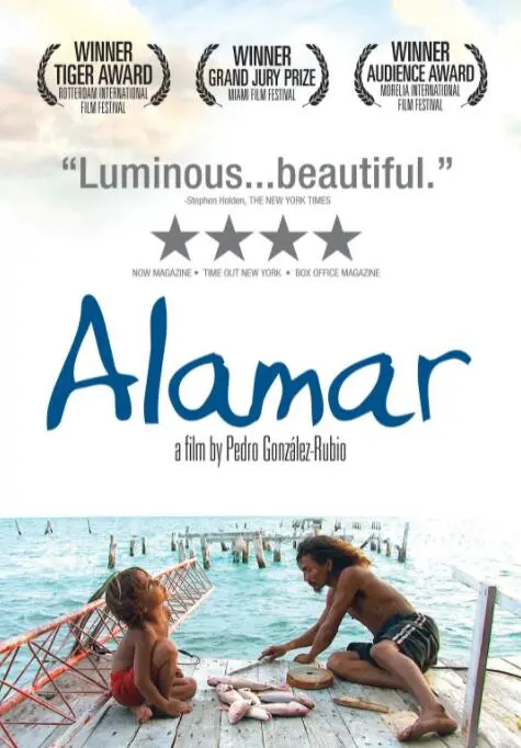 《拥抱大海》：治愈系海洋恋歌，在海的呼吸中找寻自我与救赎