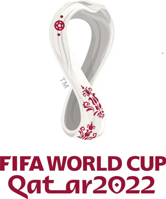 2022世界杯：喀麦隆VS巴西，一场充满意外的“同居生活”，艾琳的泪水谁懂？