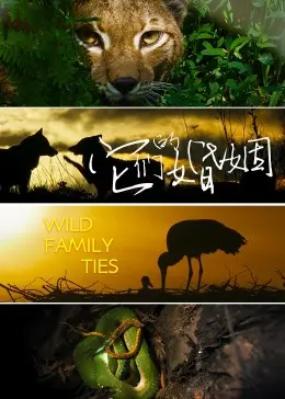 《它们的婚姻》：婚姻里的惊涛骇浪，一场关于真实与谎言的致命游戏！
